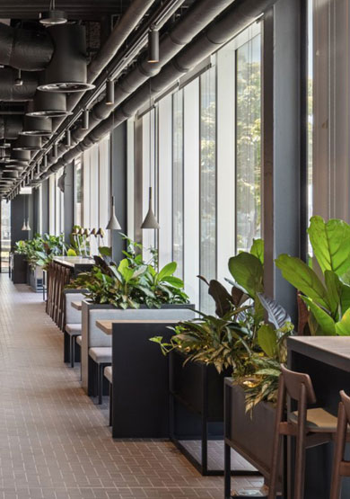 Sustainability Case Studies